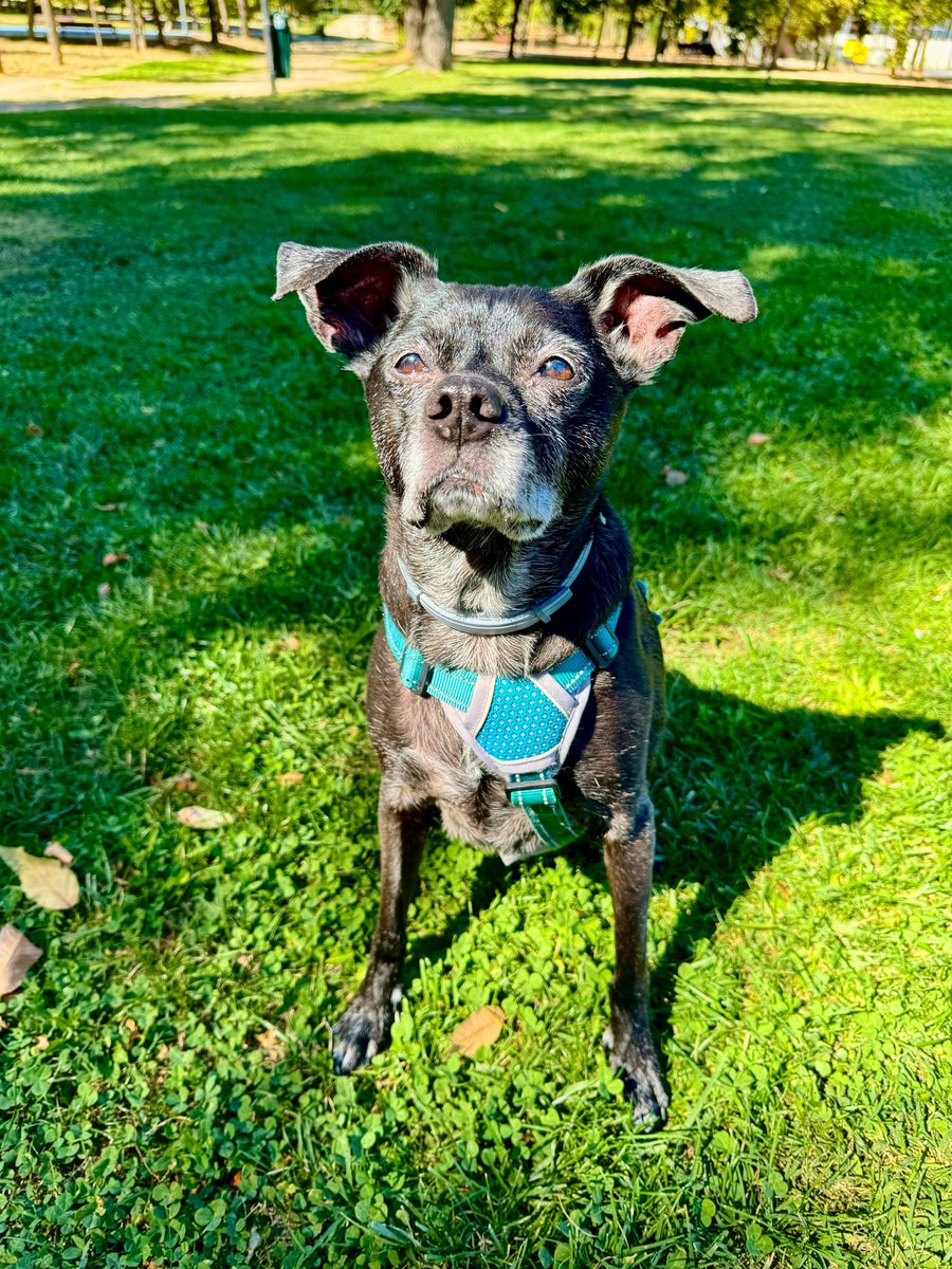 Mprin 🤎 tweet media