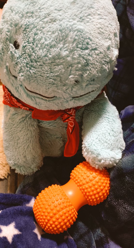 ピザまん@梨豆 tweet media