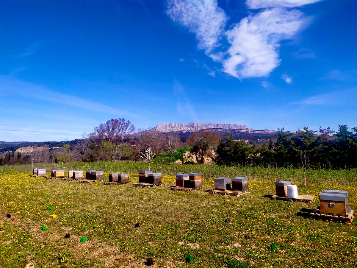 Caro Clem 🪸🌊⛵️ tweet media