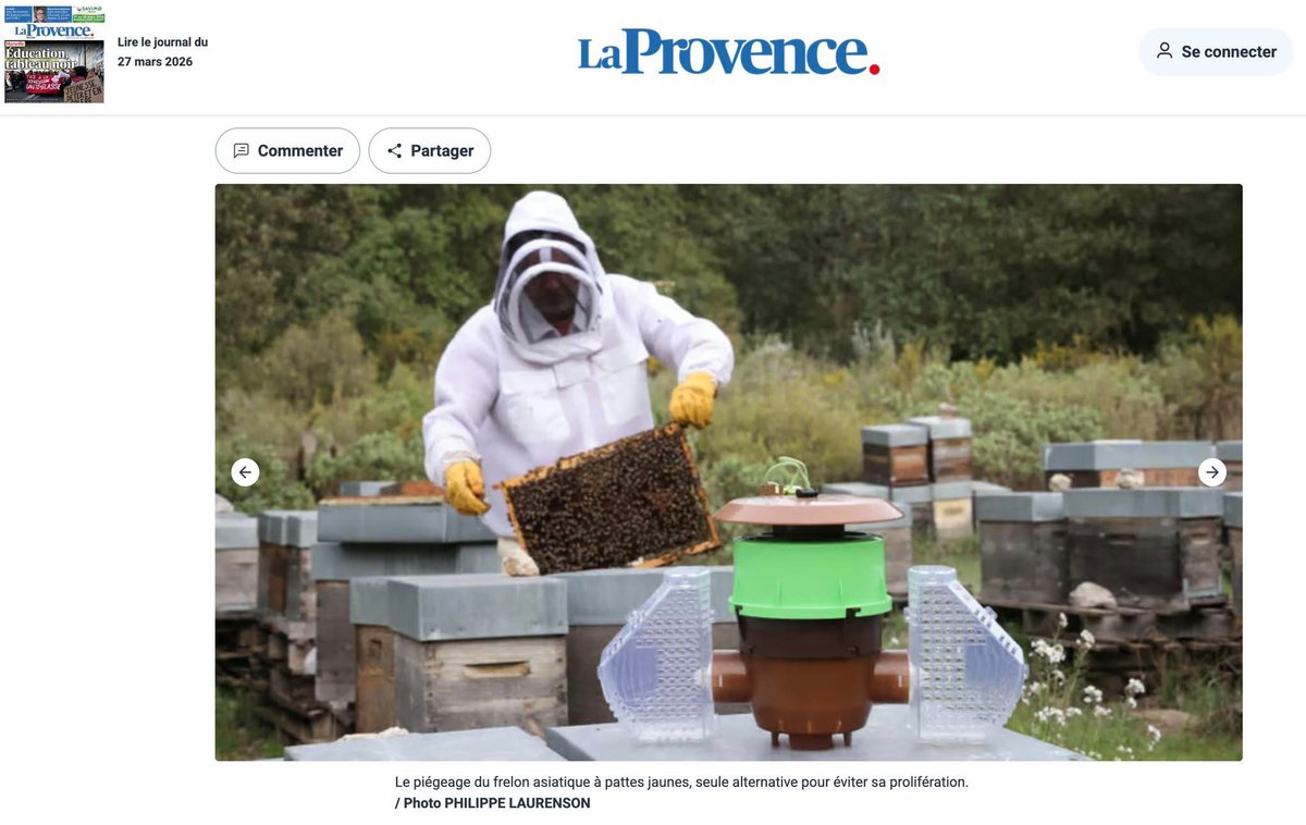 Caro Clem 🪸🌊⛵️ tweet media