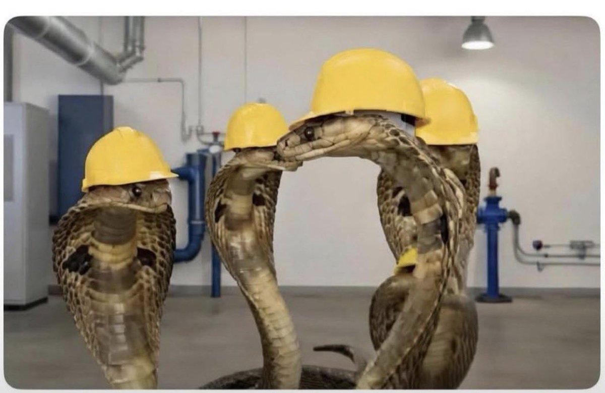 Eng.Mapunda Jr tweet media