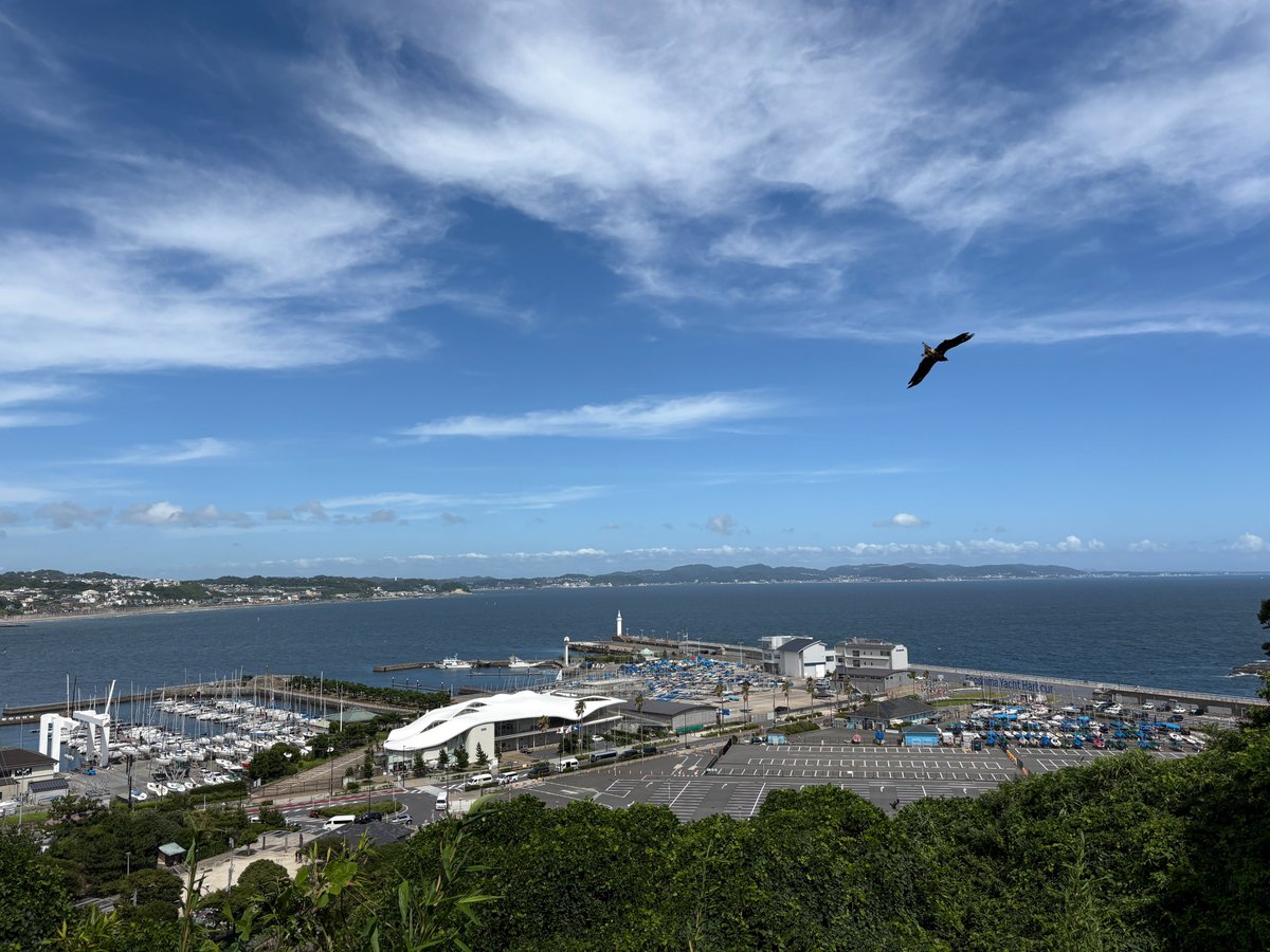 引きこもりの神社仏閣御朱印巡り tweet media