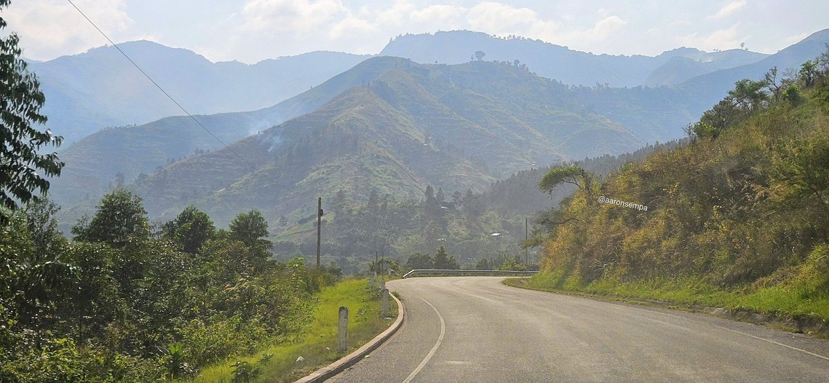 Aaron Kitratius Sempa tweet media