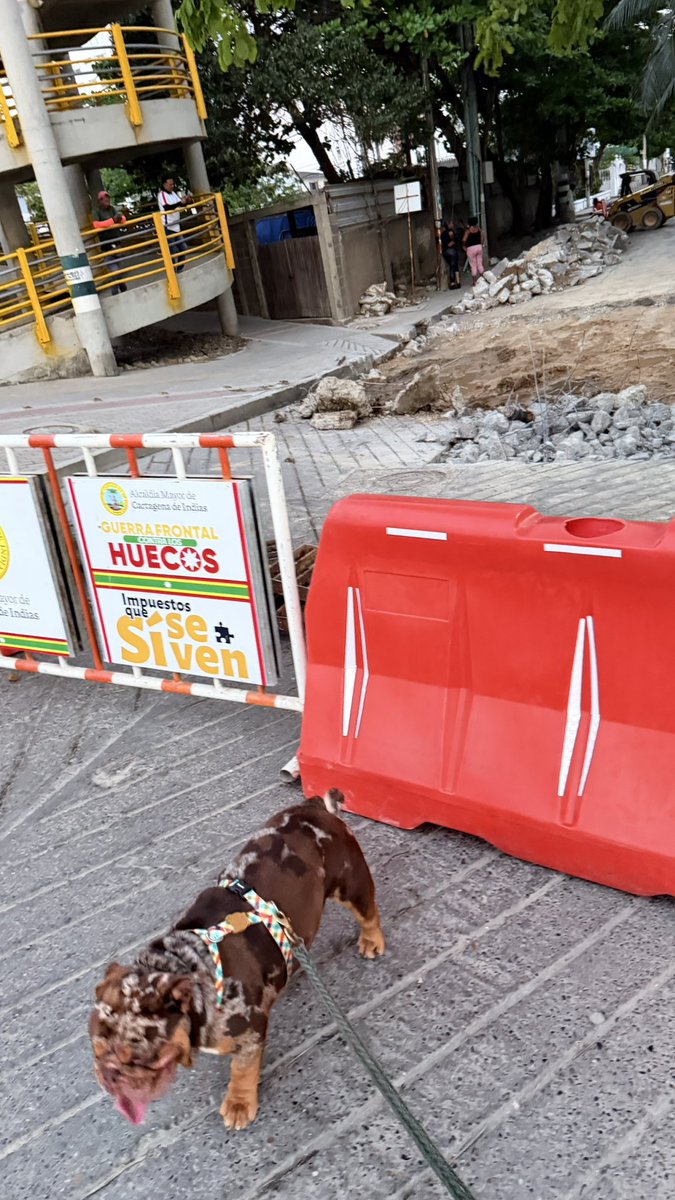 Jõhnny Garay 🍷 tweet media