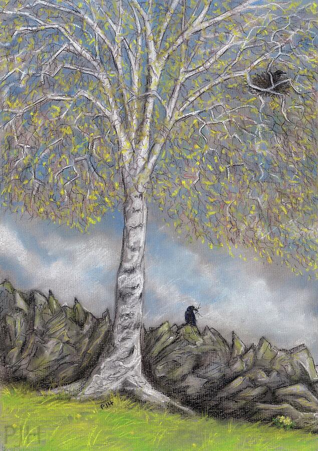 Philip Harvey tweet media