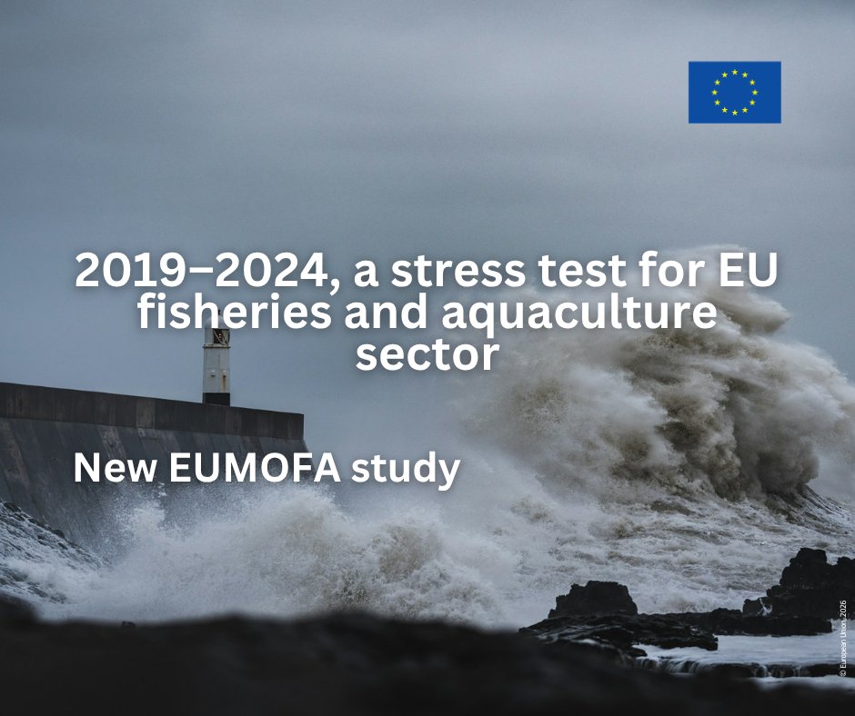 EU Maritime & Fish tweet media