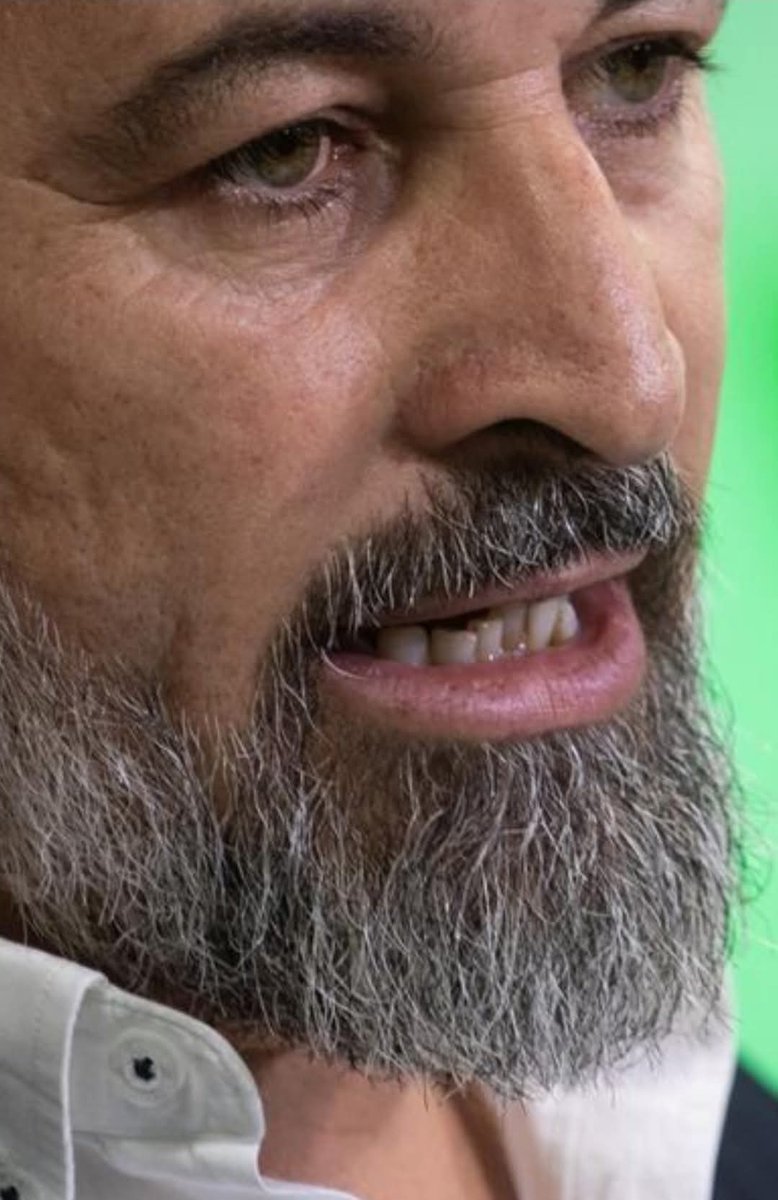 Justicia Y Templaria tweet media