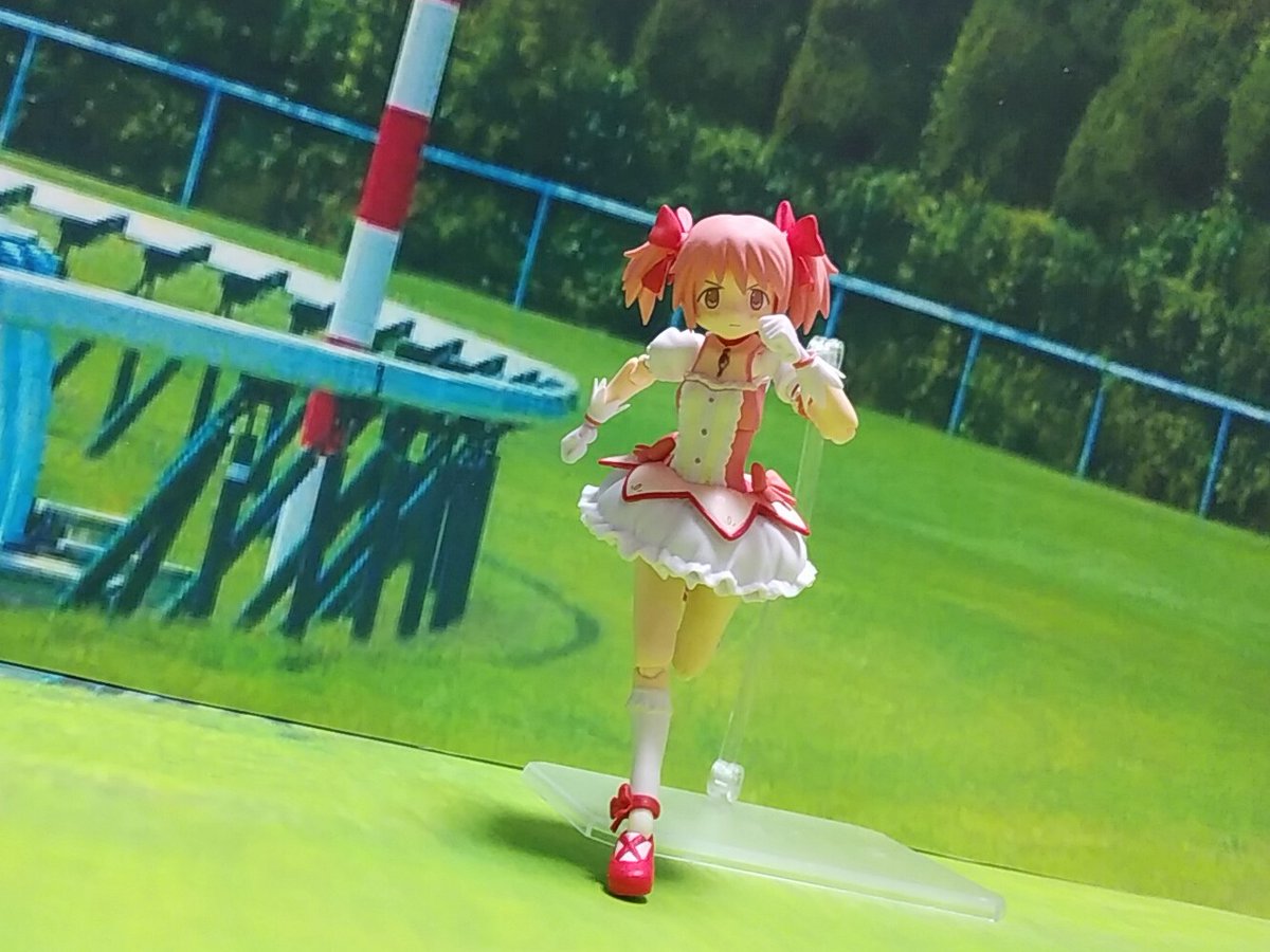 パピィちゃんねる tweet media