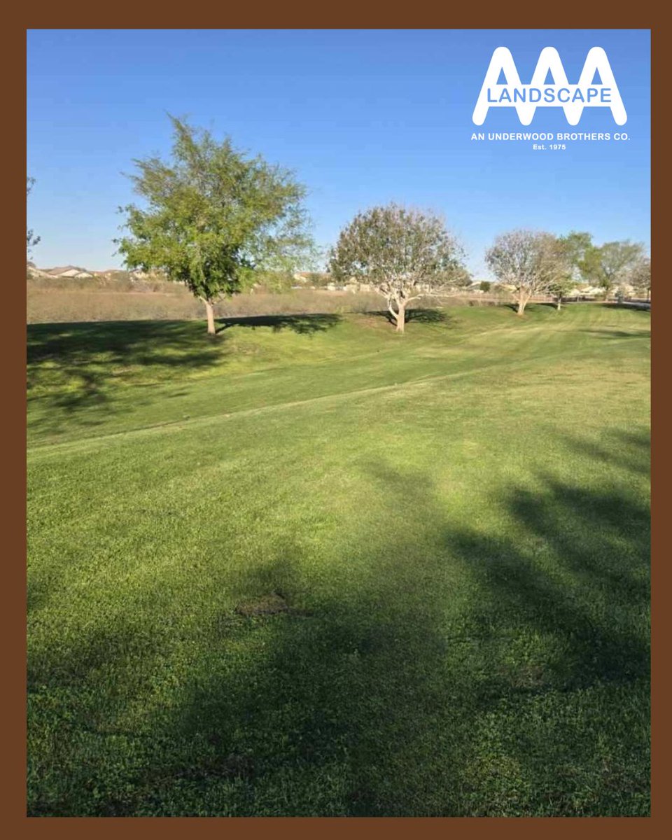 AAALandscape's tweet photo. Plants are entering active growth mode, making this the perfect time for fertilization. Proper nutrients now lead to fuller, stronger growth all season long.
#SpringGrowth #PlantCare #LandscapeHealth https://t.co/9gZWTEuPa4