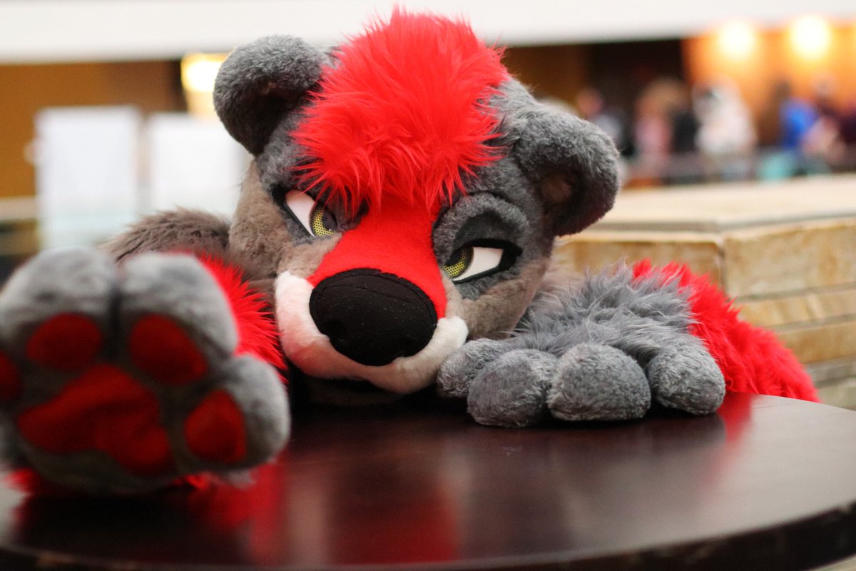 Pinu Studios tweet media