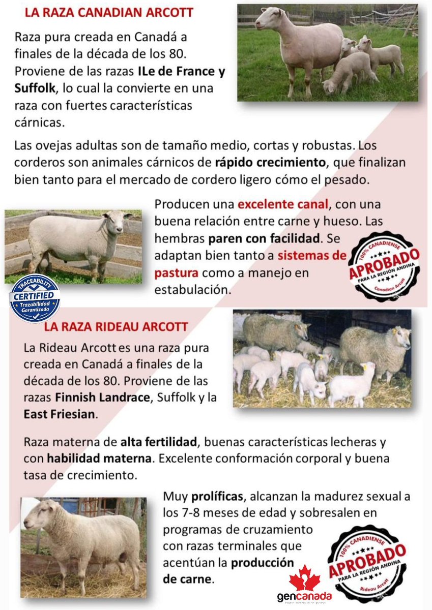 GENCANADA tweet media