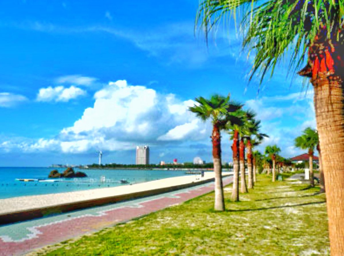 DJロマネスク tweet media