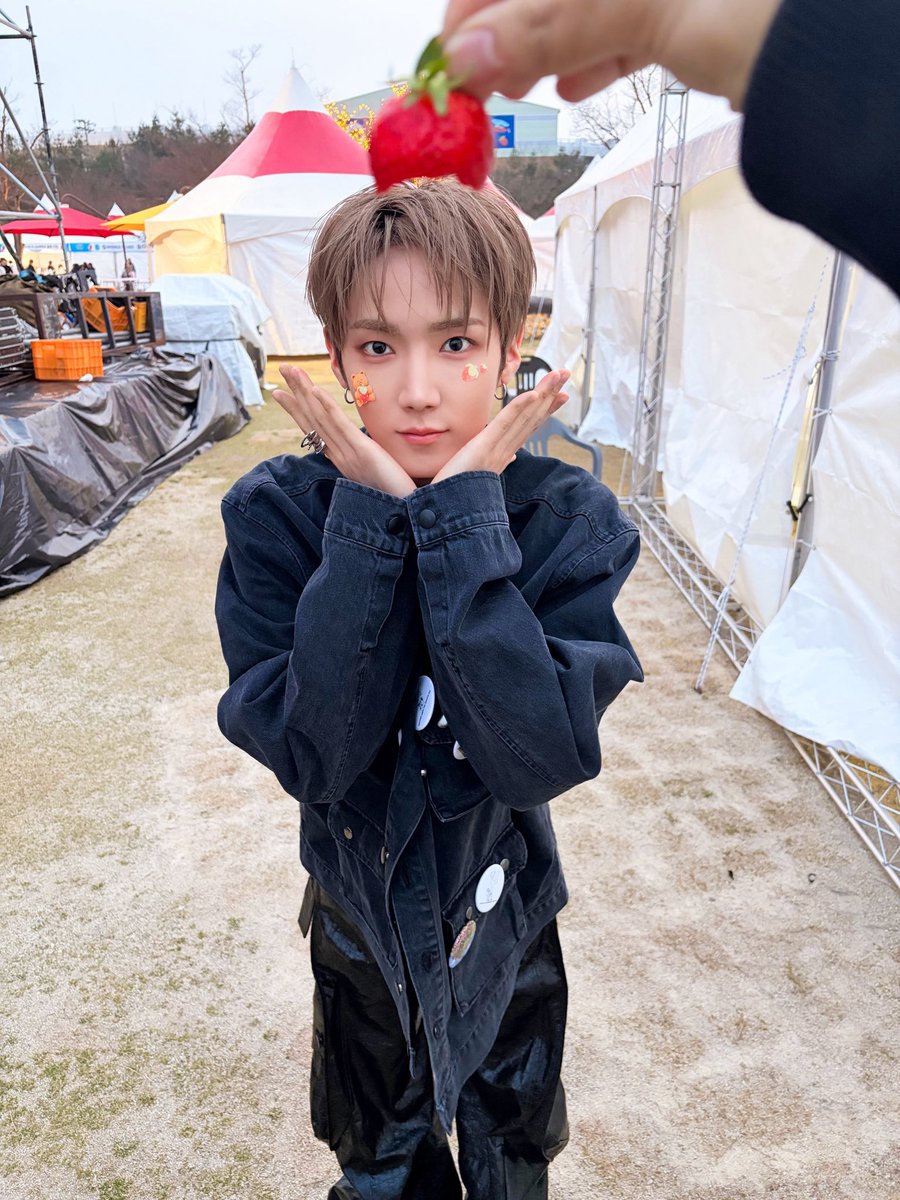 카레밥 tweet media