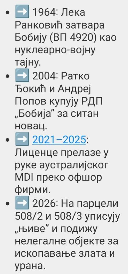 Danijela Rankovic tweet media