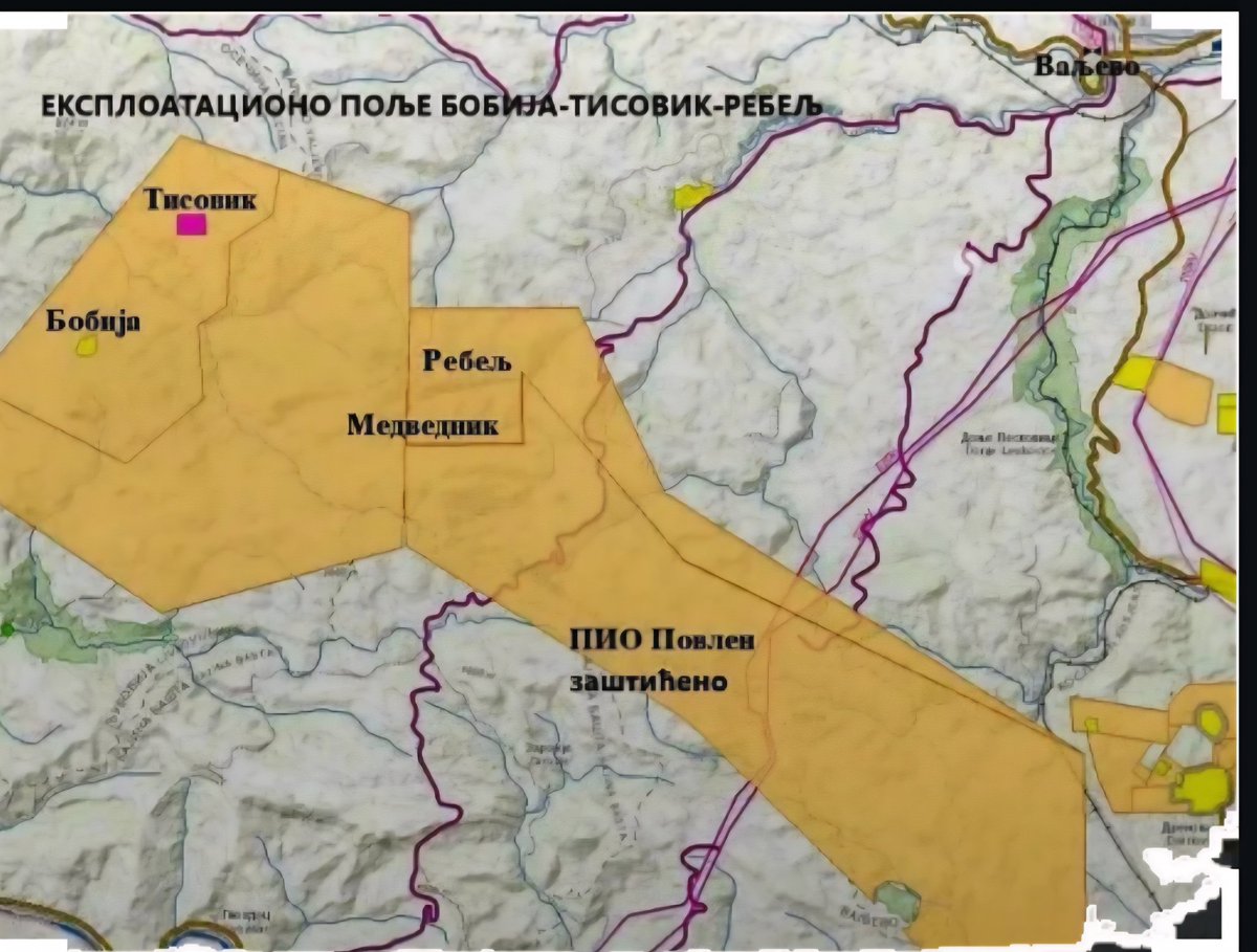 Danijela Rankovic tweet media