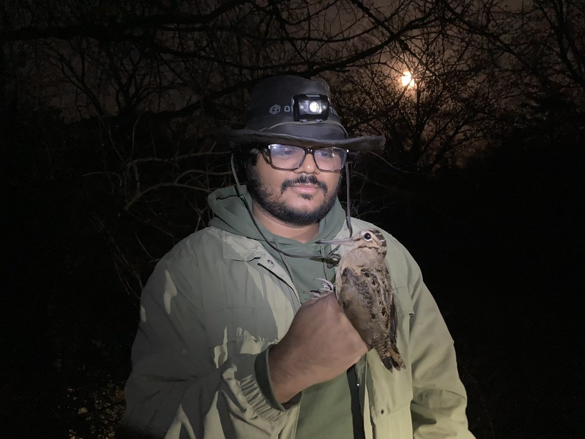 Science Cowboy 🦉 tweet media