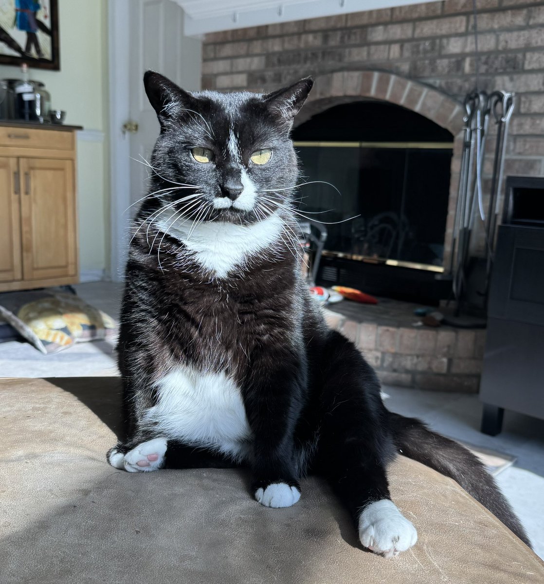 Wendy Boucher tweet media