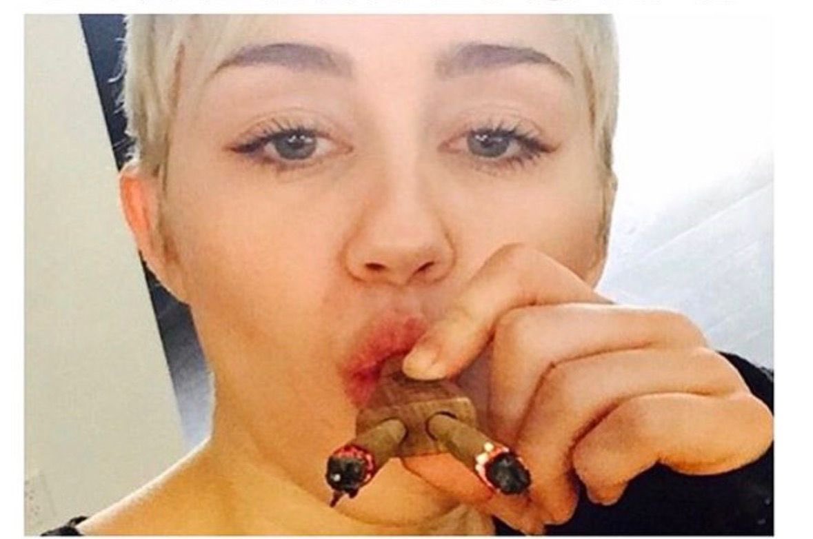 RAW Josh tweet media