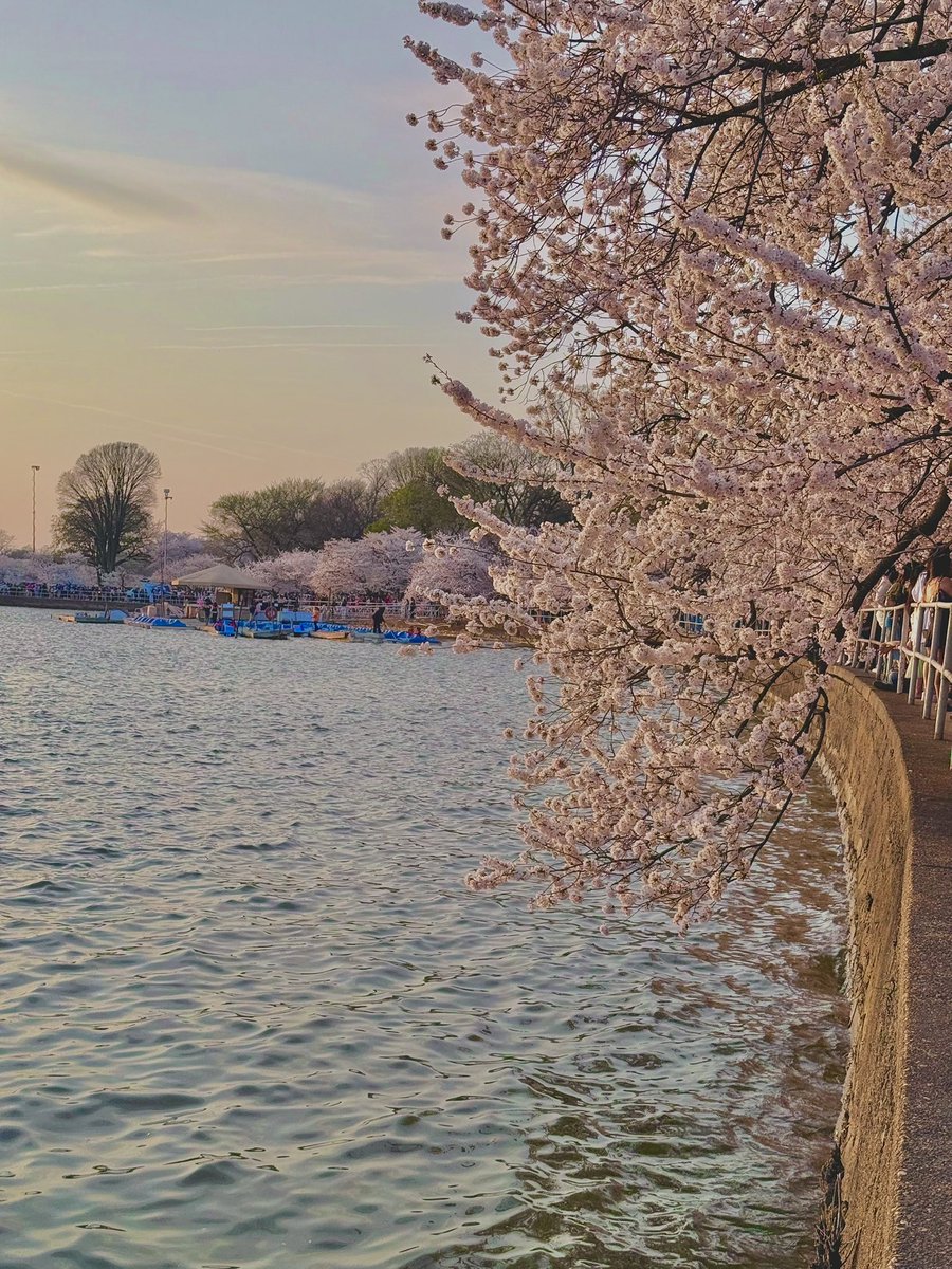 ryz 🔱🌊 tweet media