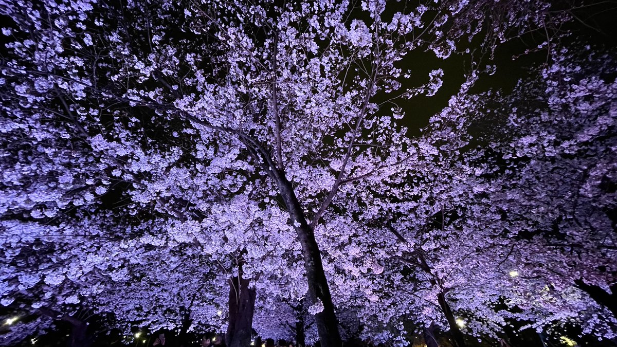 おいでよ名古屋@おいなご tweet media