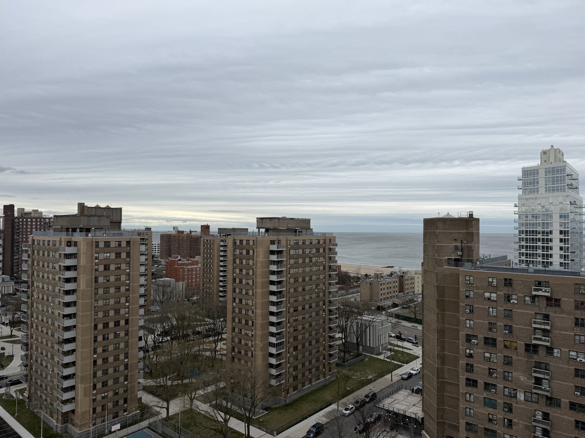 Elrick Erikose 🔺 tweet media