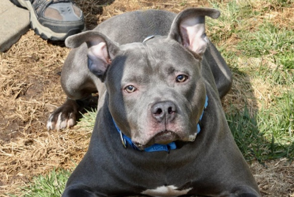 Julie🌻🐾 tweet media