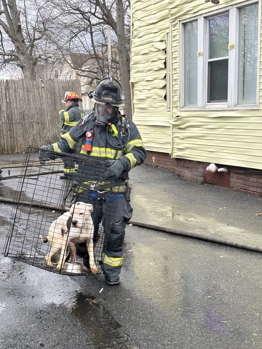 SPRINGFIELD FIRE tweet media