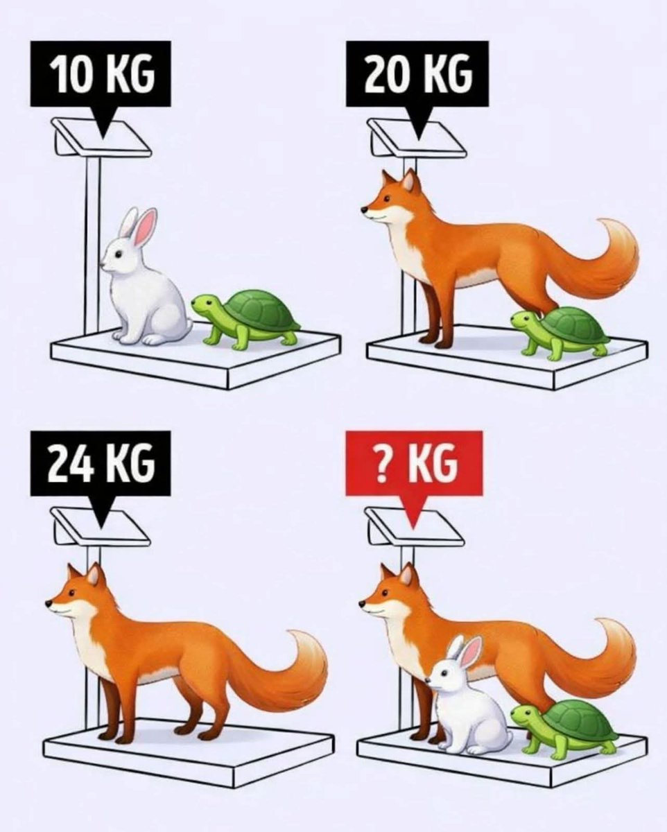 Sehrish 🧢 tweet media