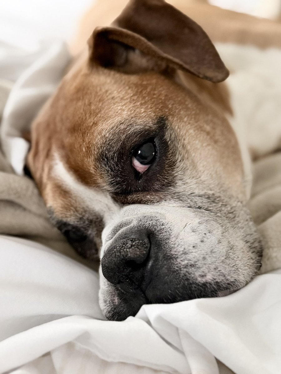 Southern Mama tweet media