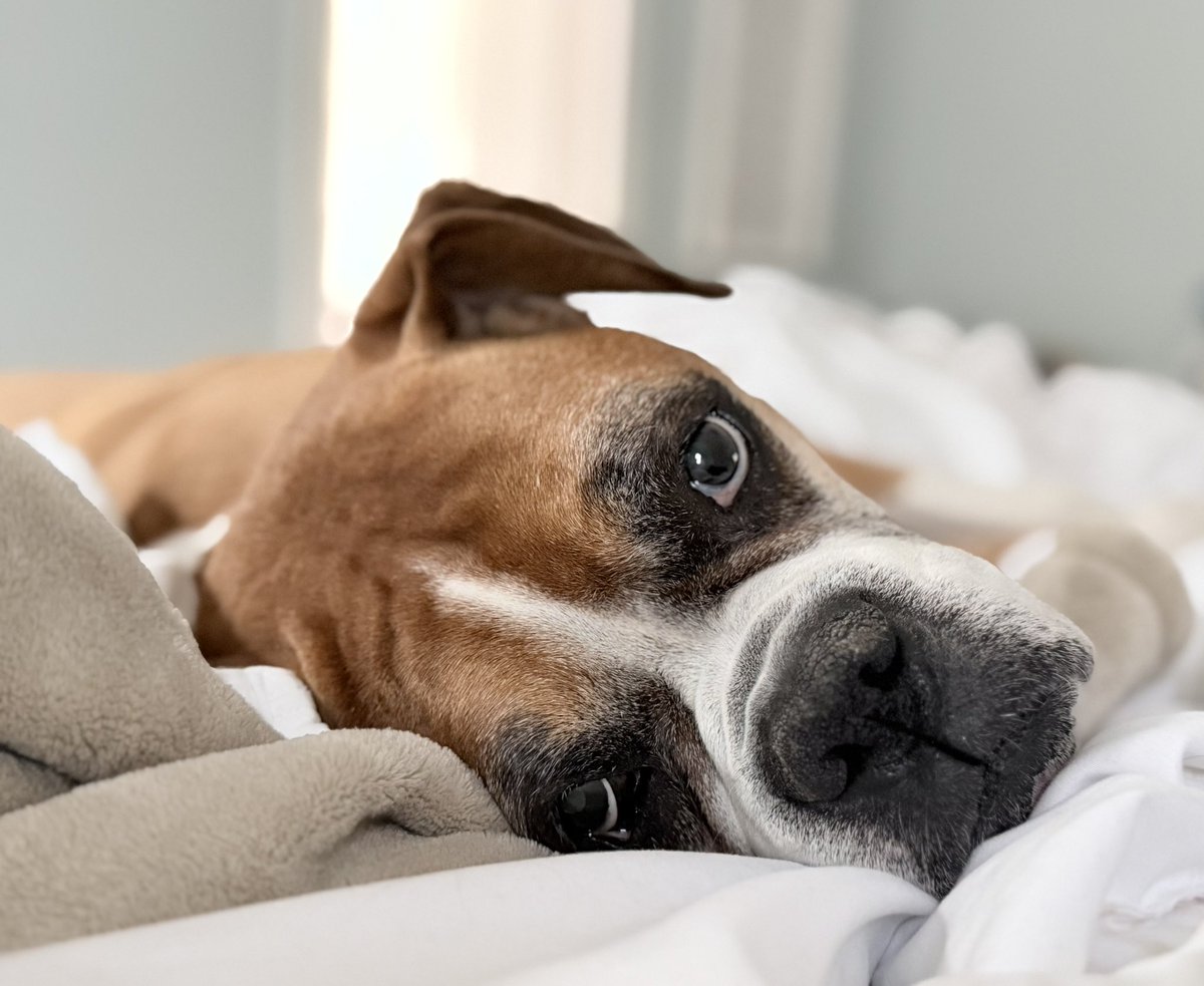 Southern Mama tweet media