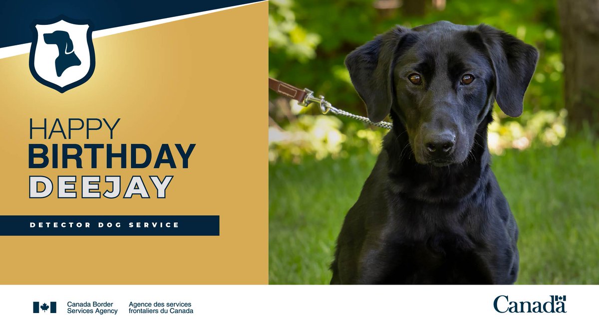 CanBorderSOR's tweet photo. One of our newest #DetectorDogs is turning 2 tomorrow! Let's jump in joy for #K9 DeeJay’s big Bark-day! #DogsWithJobs https://t.co/jqzw9jNKQv