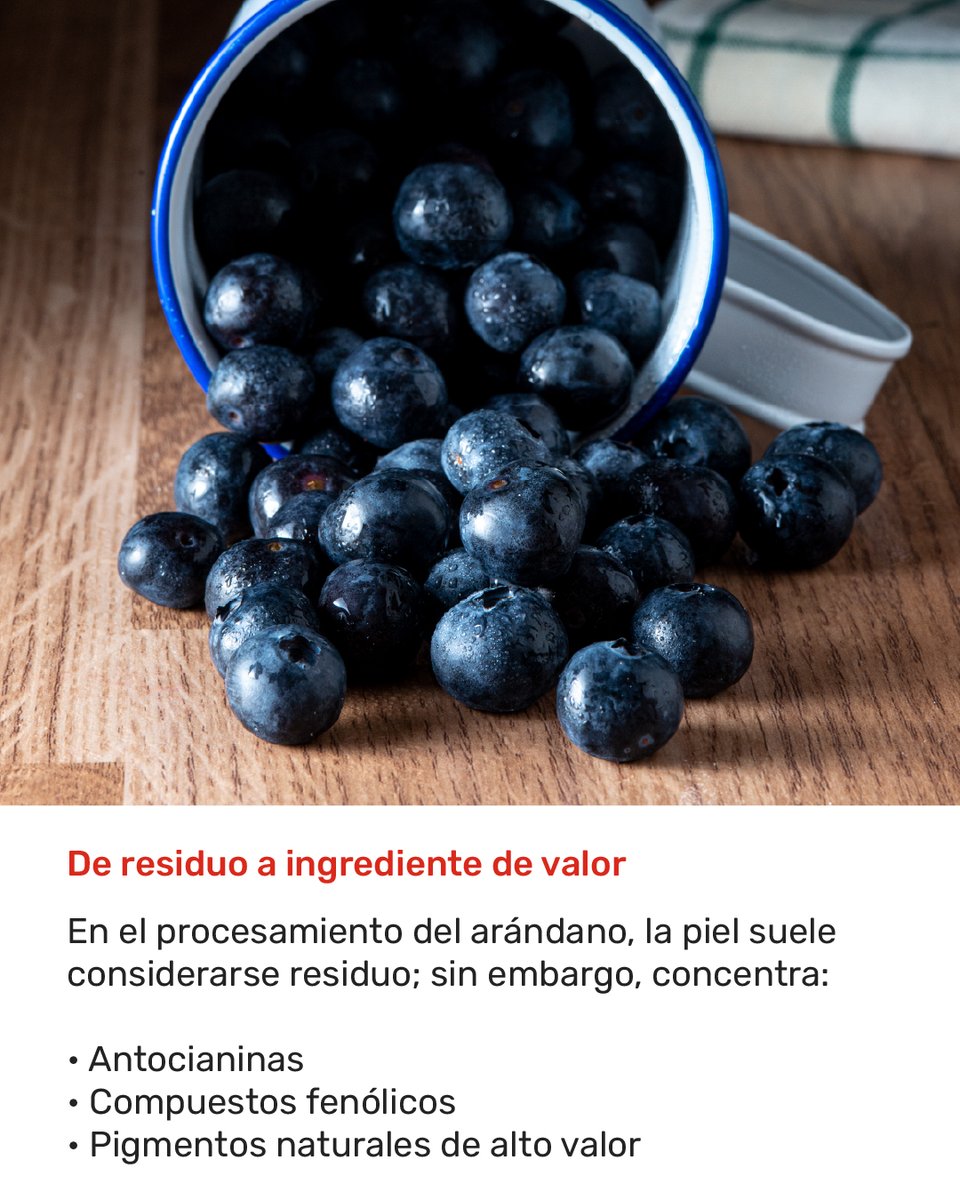 ElFoodTech's tweet photo. 🌱🎨La transición hacia colorantes naturales no es solo una tendencia de etiqueta limpia, es una presión tecnológica y regulatoria creciente para la industria alimentaria.
#thefoodtech https://t.co/aMNPl1ZMSZ
