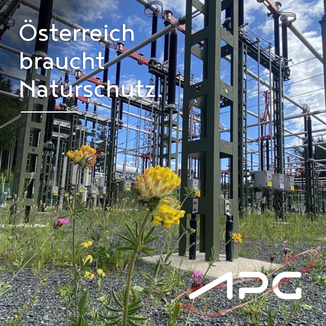 APG Austrian Power Grid tweet media