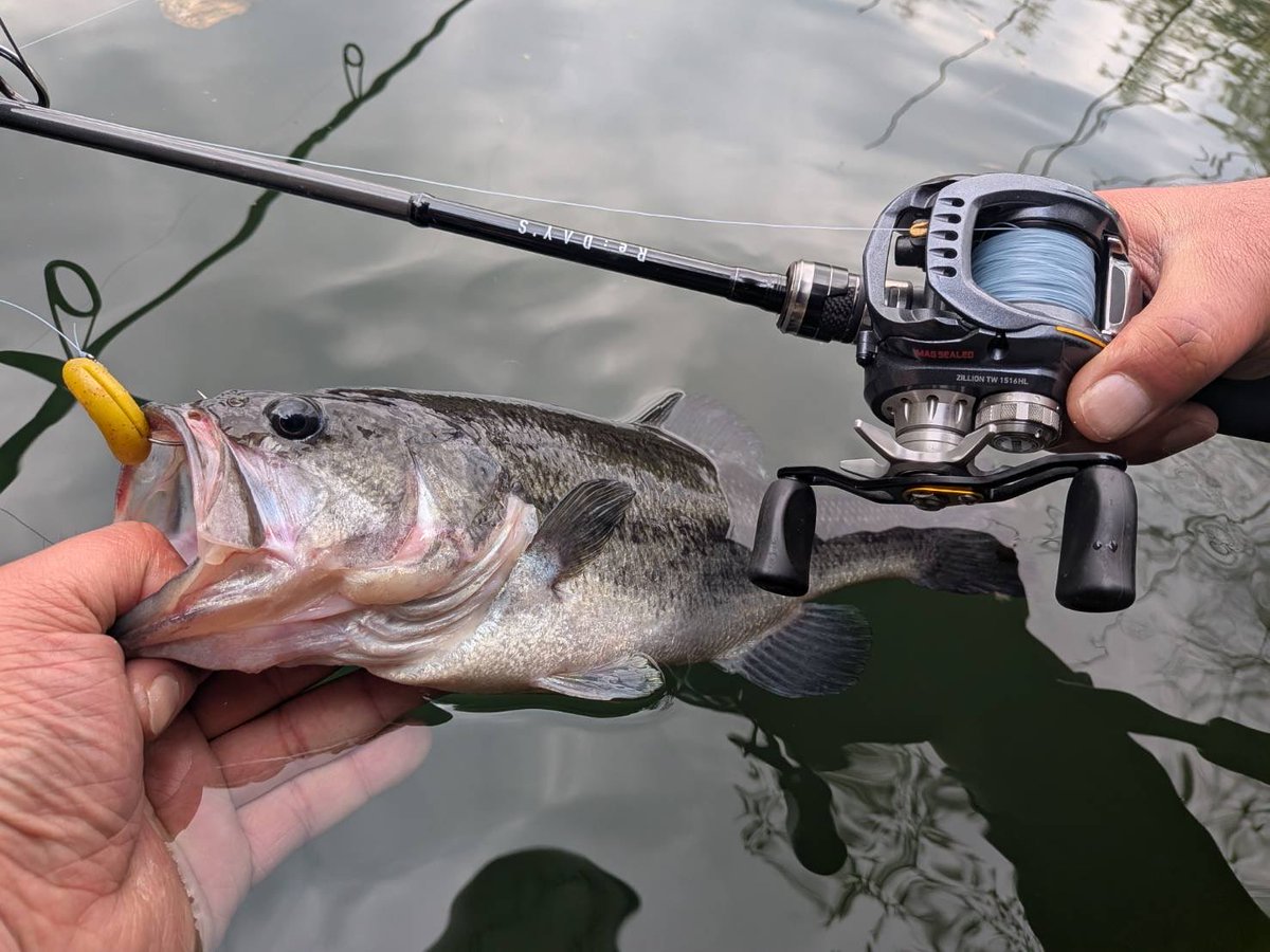 メジャークラフト株式会社 tweet media