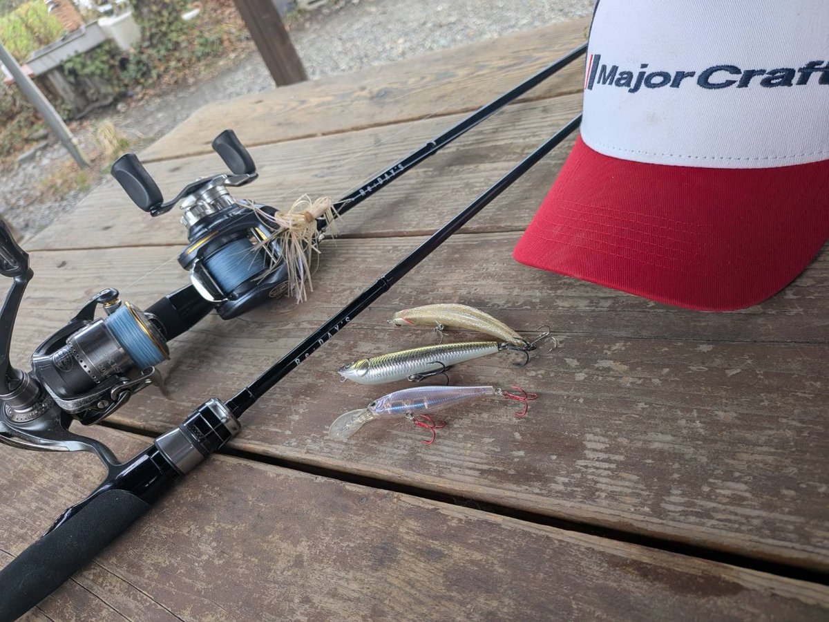 メジャークラフト株式会社 tweet media