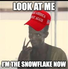 Korneel Lesage tweet media