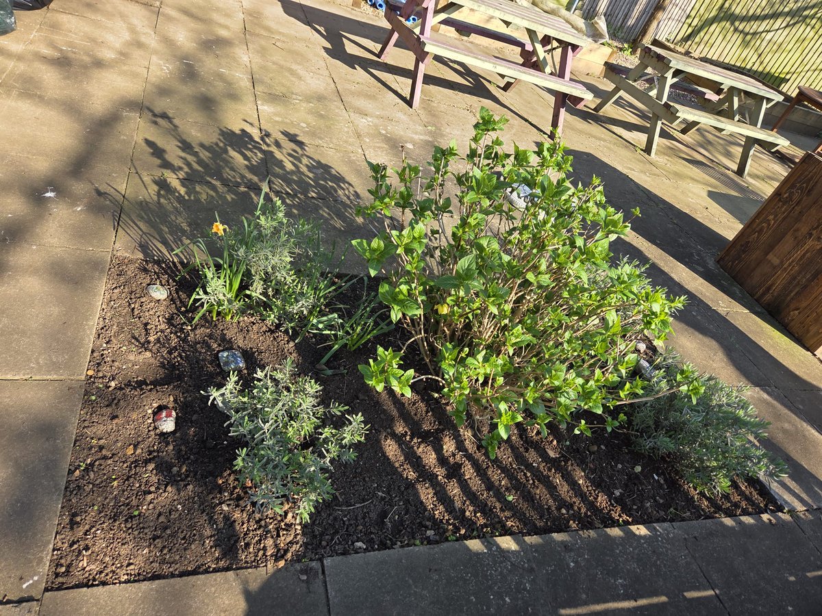 nptonhopecentre's tweet photo. A Big Thank you goes out to the team from Carlsberg Britvic who gave up a day to start to bring to life our Community Garden, they weeded and planted 10 donated fruit trees and replanted our roses.
#hopeinthecommunity #communitygarden https://t.co/89zJcxeNvG