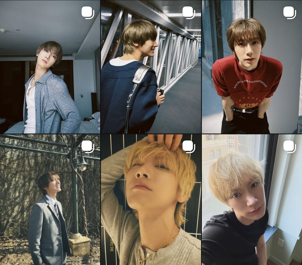 ฮอลลล์ ヅ tweet media