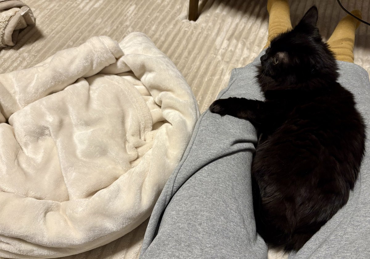 すがこ tweet media