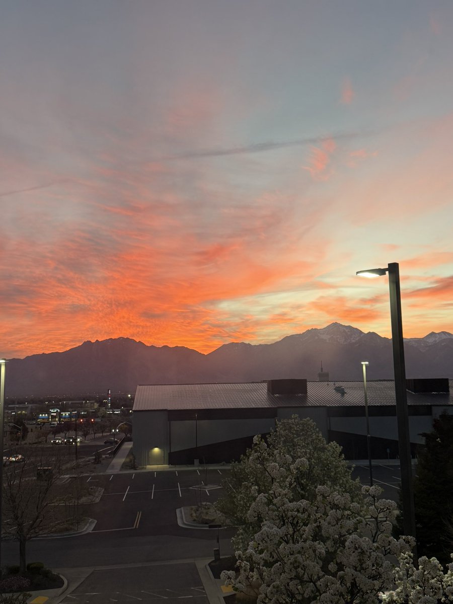 Mark Foster tweet media