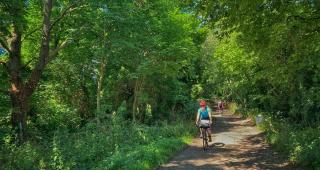 Frog Bikes tweet media