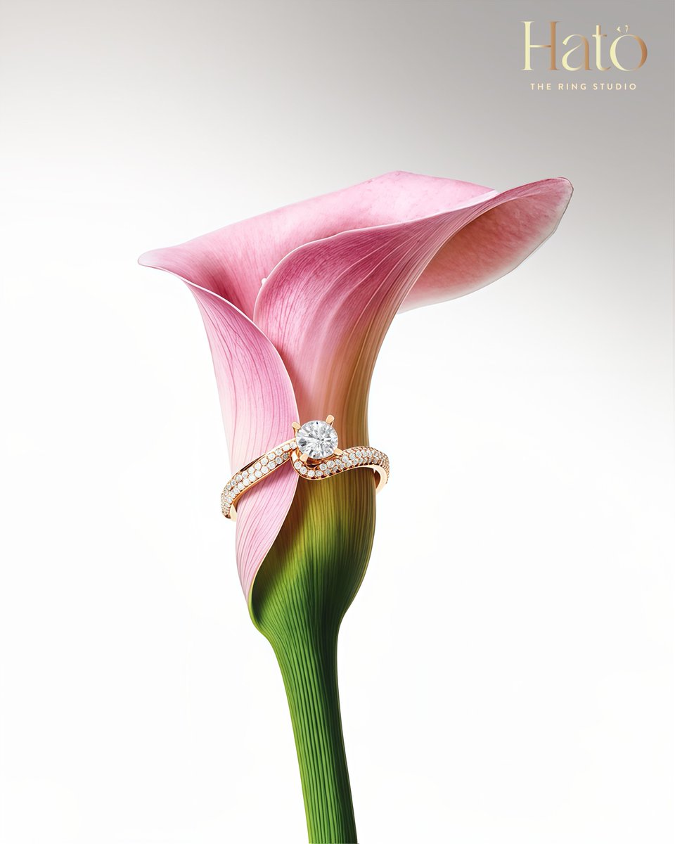 hatoringstudio's tweet image. Softly set apart

#SubtleLuxury #hatotheringstudio