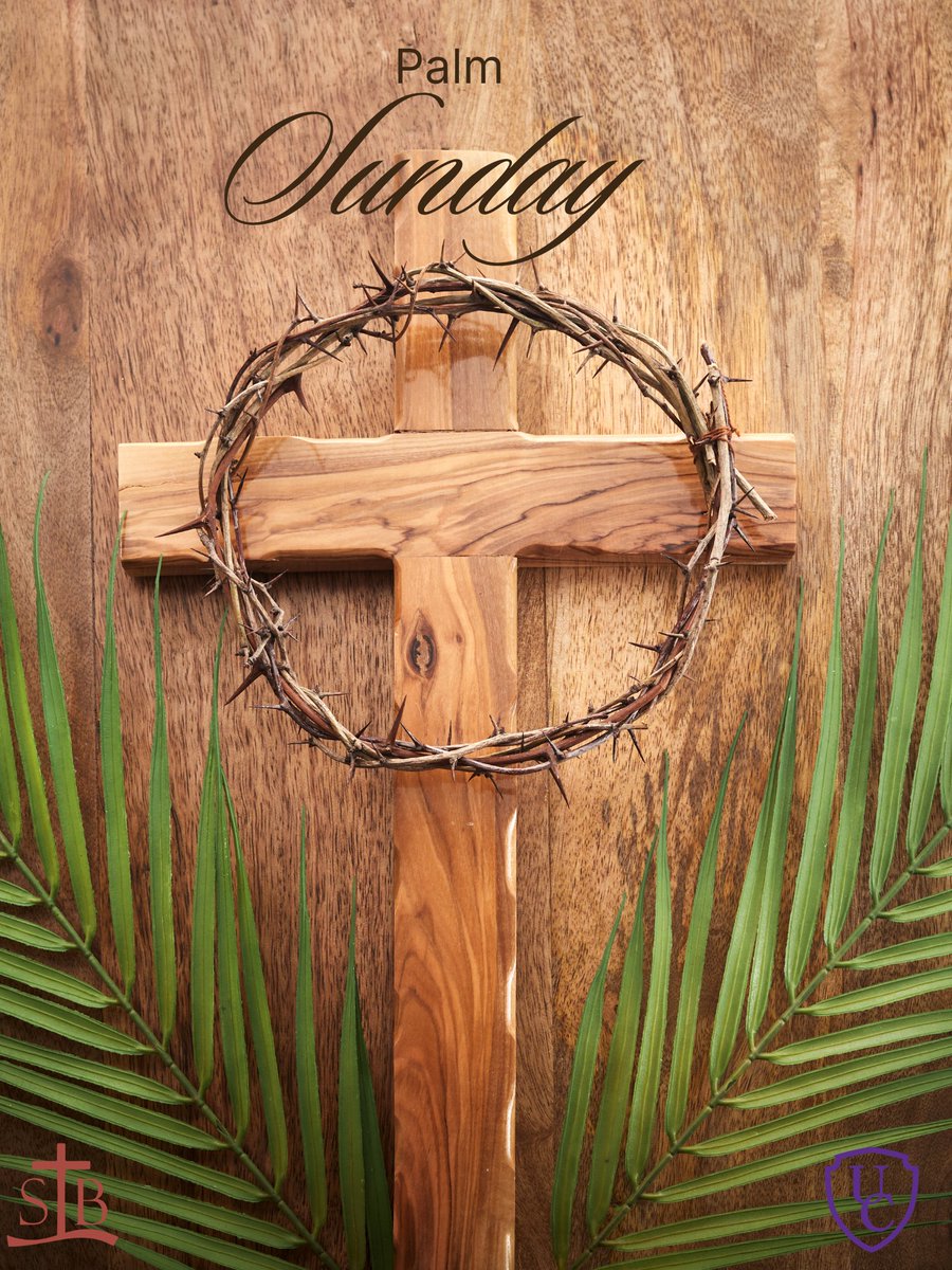 St. Bernard's Residence tweet media