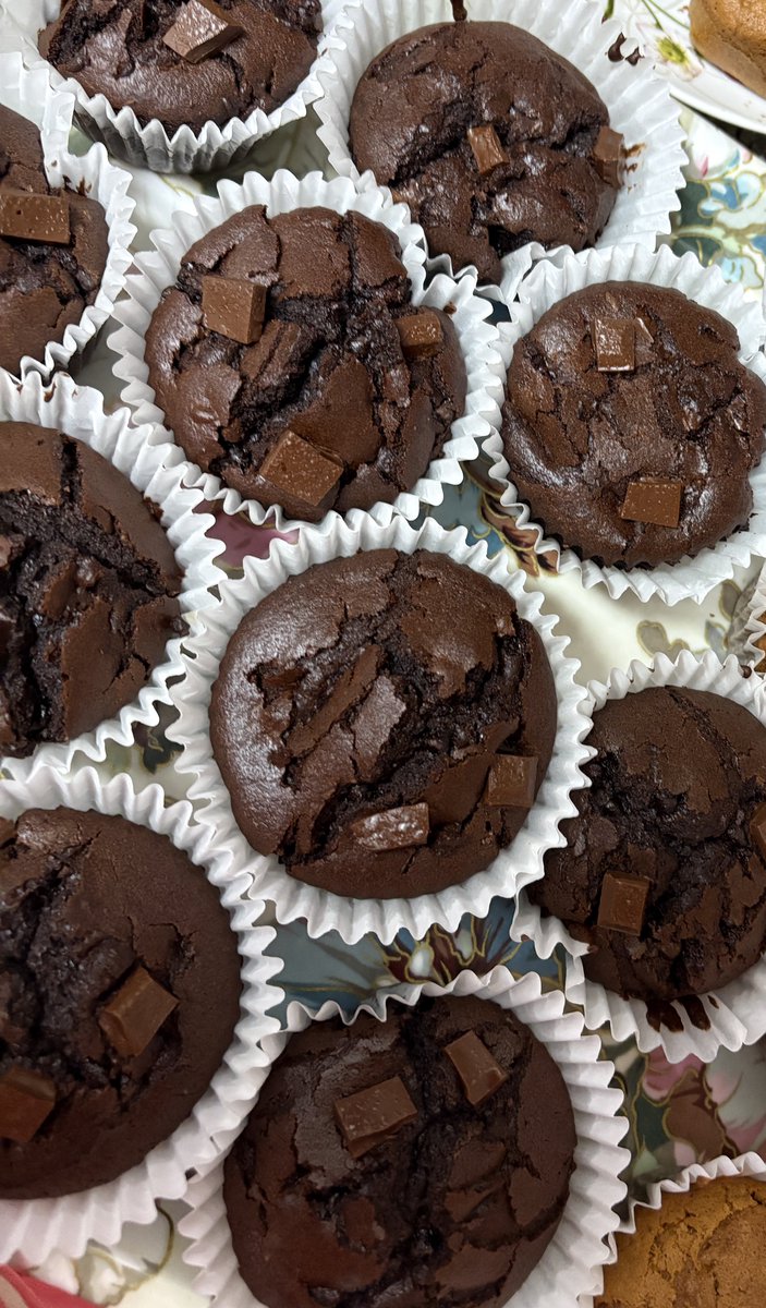 햄리전 tweet media