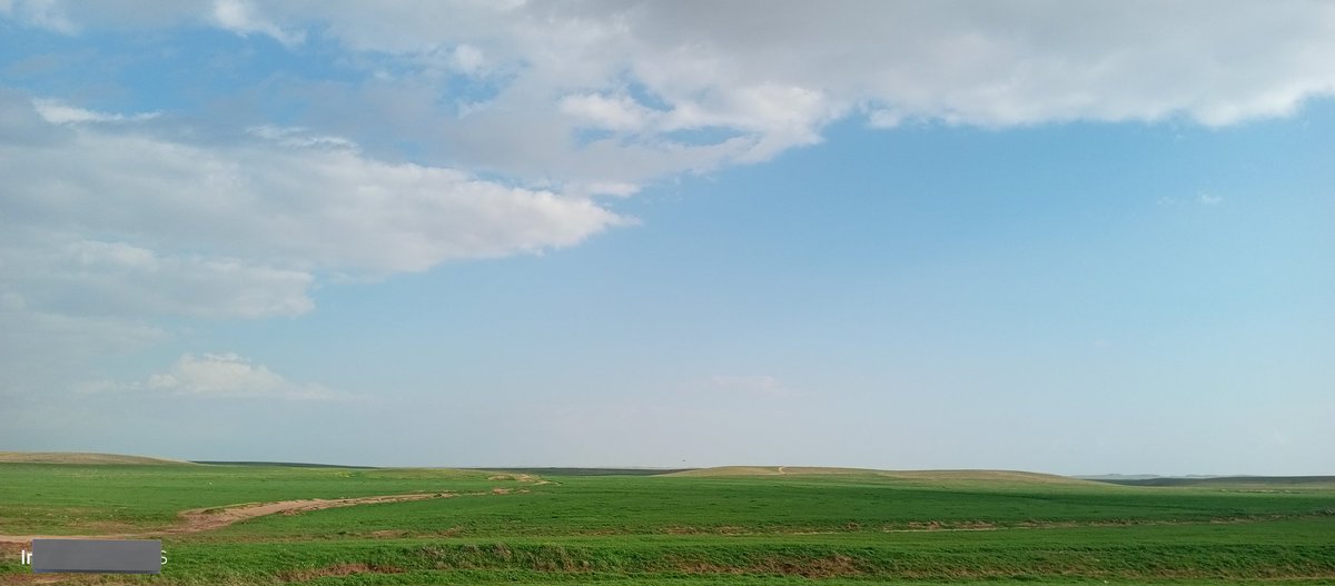 مِشْعَل العنزي🌿 tweet media