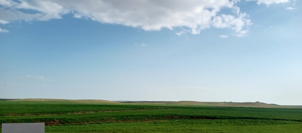 مِشْعَل العنزي🌿 tweet media