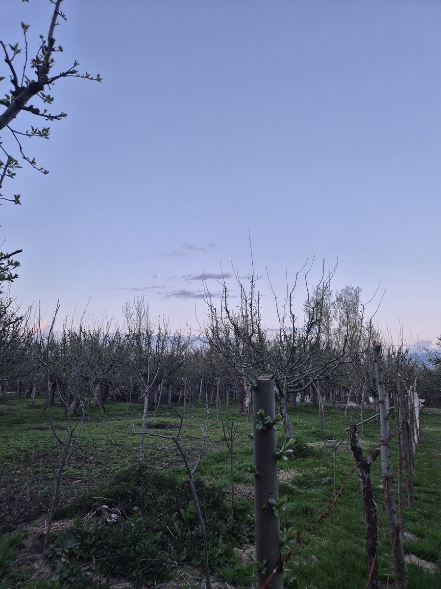 stars7sunflower's tweet photo. Yeah call me gaamich bcs i know apaari bagh, yapaari bagh, herim bagh, bunim bagh, khoshikh, aebi, byeout, abad, gudaeyi, payewand…like the list just keeps going. https://t.co/3ms9RyttV3