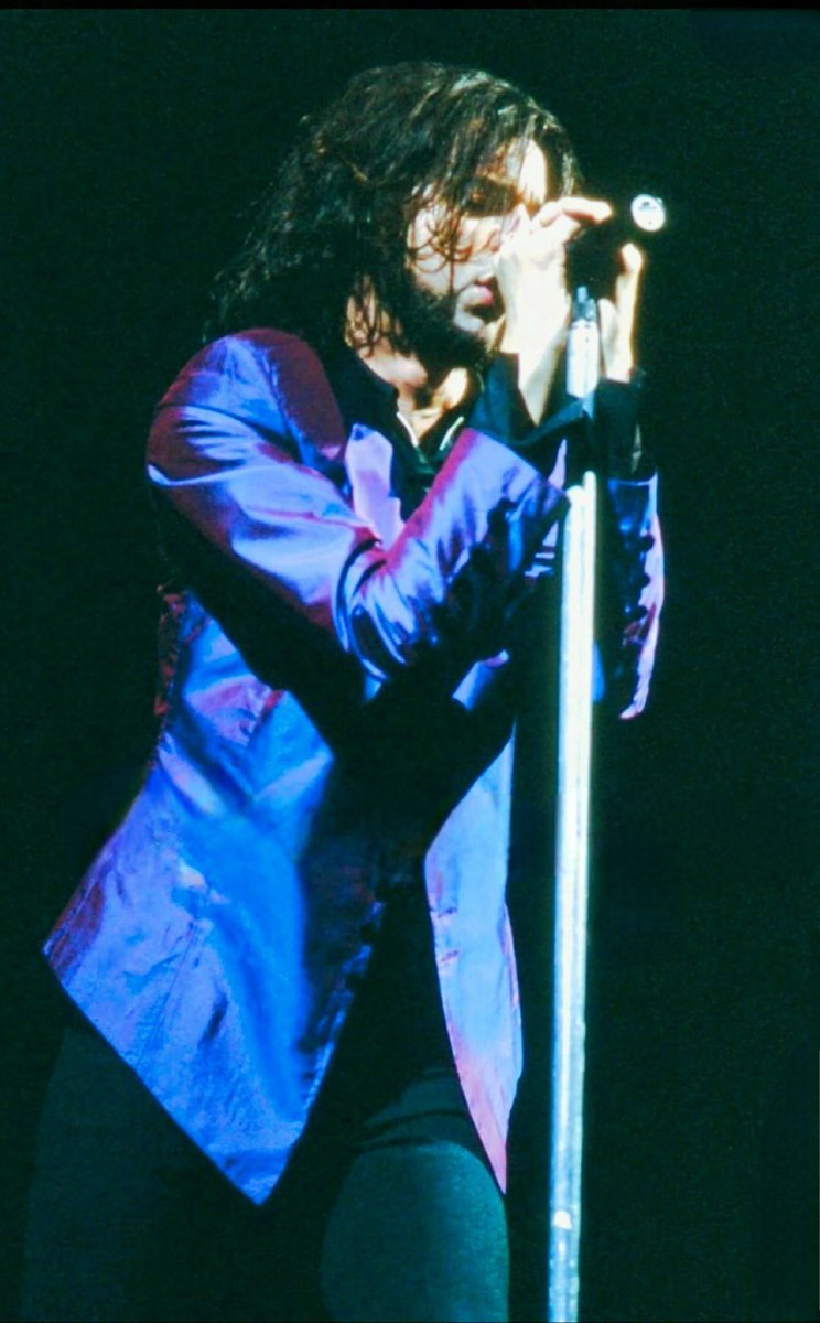 dat Luna tweet media