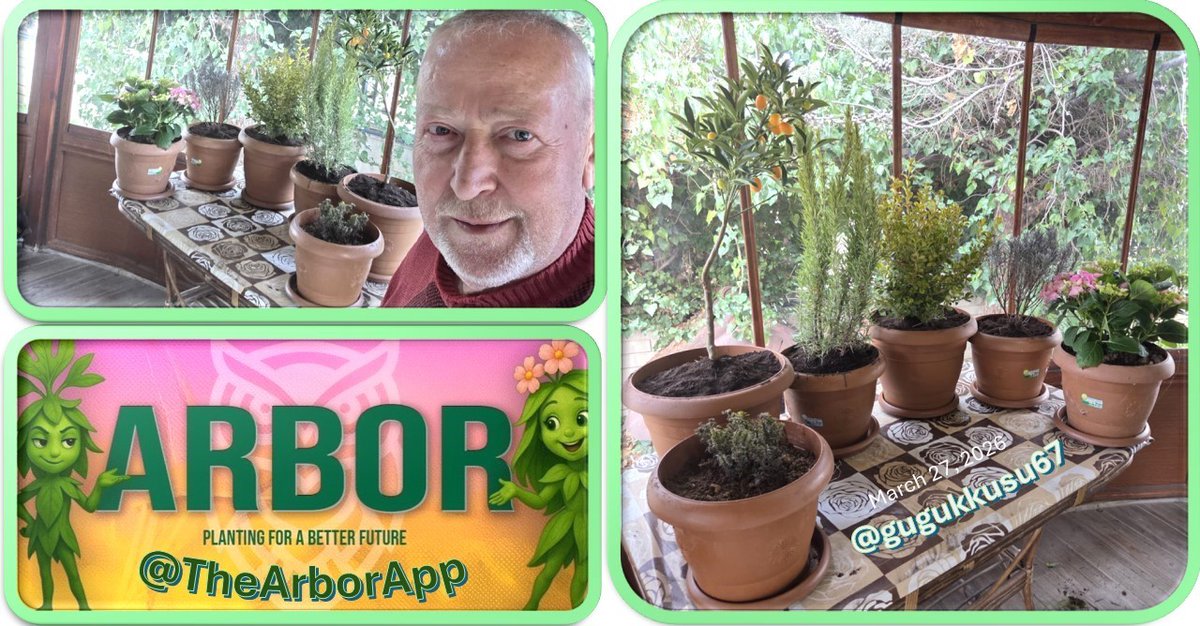 Hasan Yılmaz tweet media