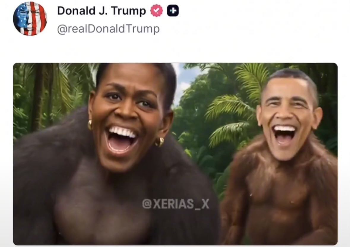 IndieGal2024 🇺🇸🌊 tweet media